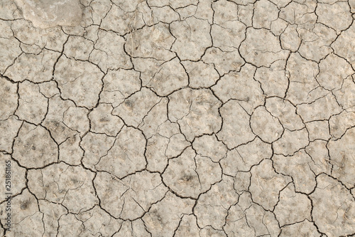 totally dried up cracked earth texture close up influenced by global warming