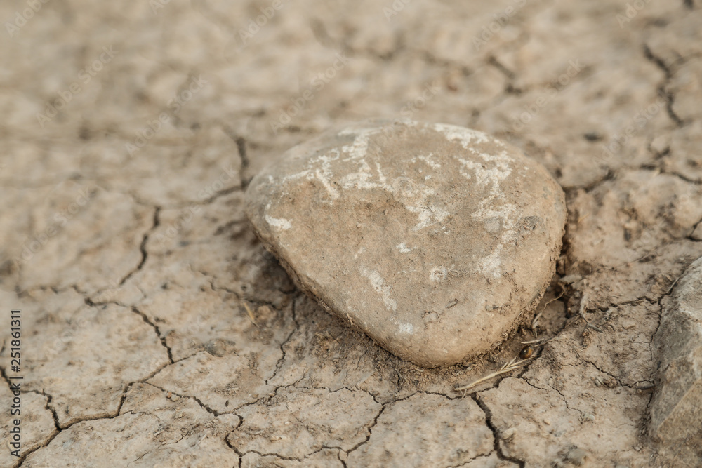 close up of small stone on cracked earth ground close up of small stone on cracked earth ground