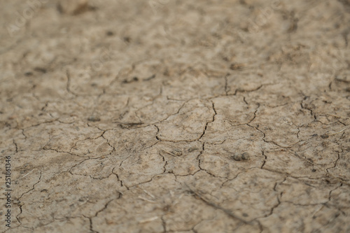 close up grey brown dry cracked earth background