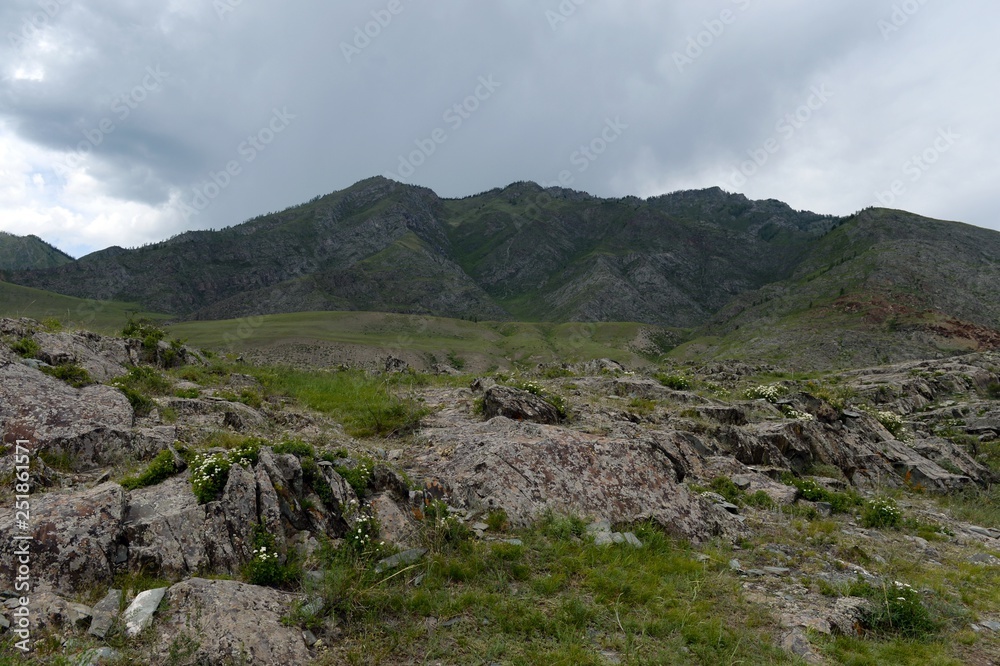 Kalbak-Tash tract, famous for its petroglyphs with images of animals. 