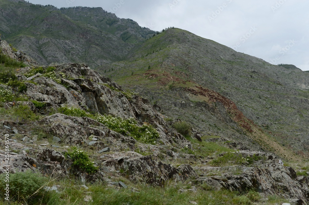 Kalbak-Tash tract, famous for its petroglyphs with images of animals. Kalbak-Tash tract, famous for its petroglyphs with images of animals.