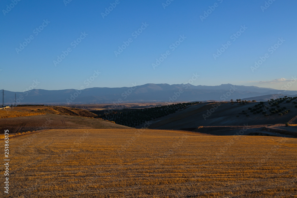 sunset,sky,landscape,sun,mountain,sunrise,nature,grass,morning,field,meadow,blue,hill,sunlight,green,tree,orange,outdoor,summer,beautiful,view,horizon,travel,lifestyle,panorama,mountains,evening,dusk, sunset,sky,landscape,sun,mountain,sunrise,nature,grass,morning,field,meadow,blue,hill,sunlight,green,tree,orange,outdoor,summer,beautiful,view,horizon,travel,lifestyle,panorama,mountains,evening,dusk,