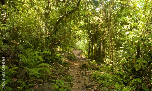 Ciudad Perdida hike in Colombia