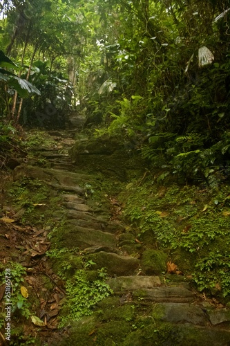 Ciudad Perdida hike in Colombia