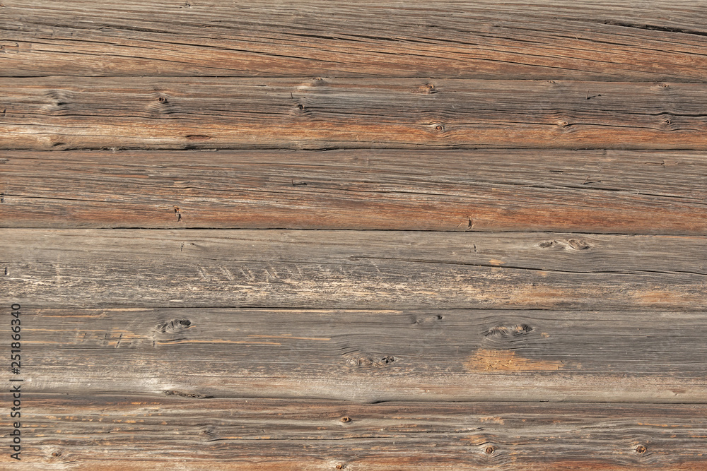 Fototapeta premium The wooden wall of the log house