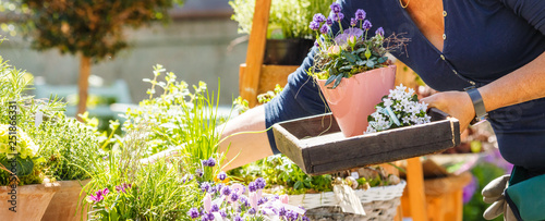 Gartenarbeit und blumen Verkauf photo