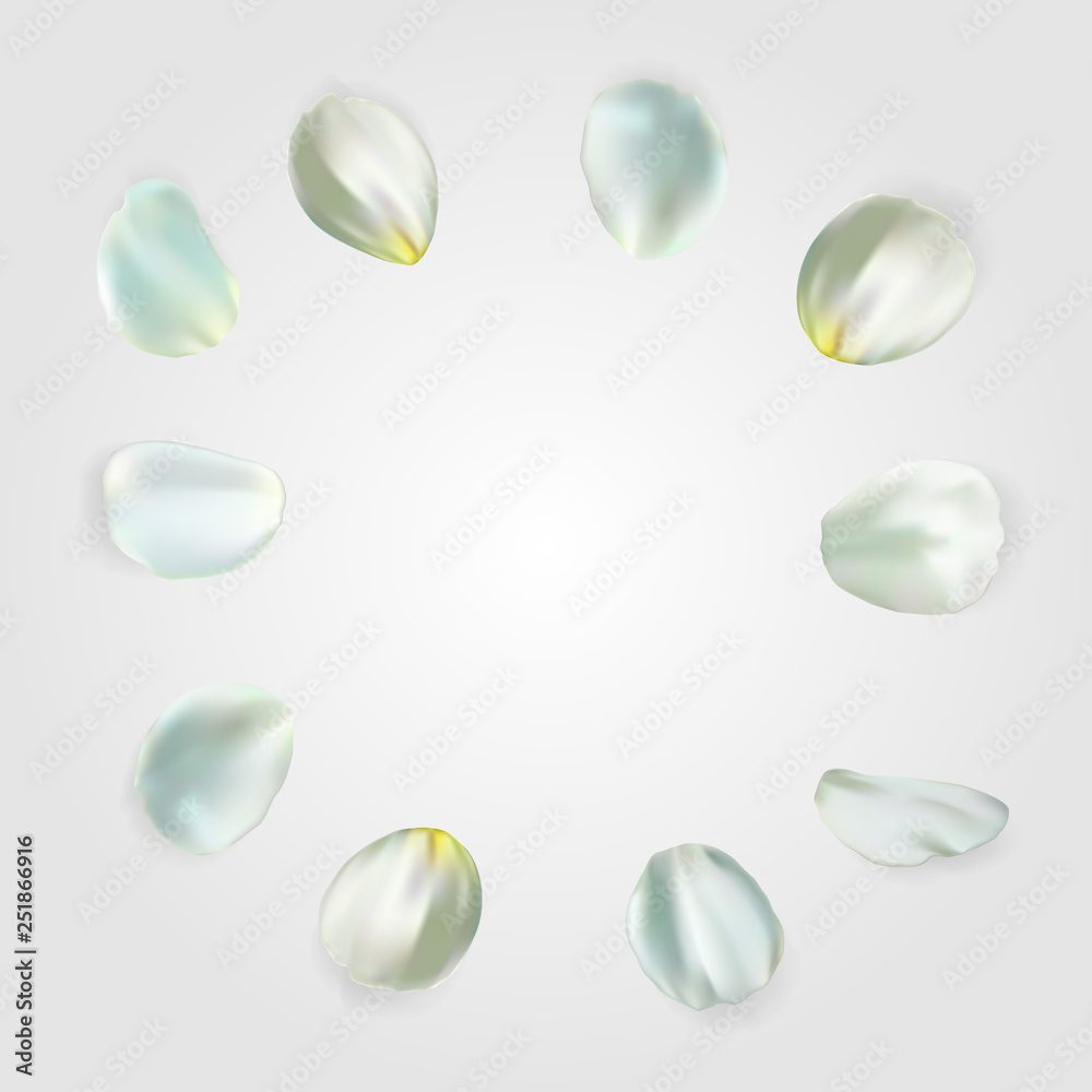 White petals isolated on pale background. For greeting card, wallpaper, flyers, posters or wedding invitation background party design. Vector illustration. White petals isolated on pale background. For greeting card, wallpaper, flyers, posters or wedding invitation background party design. Vector illustration.