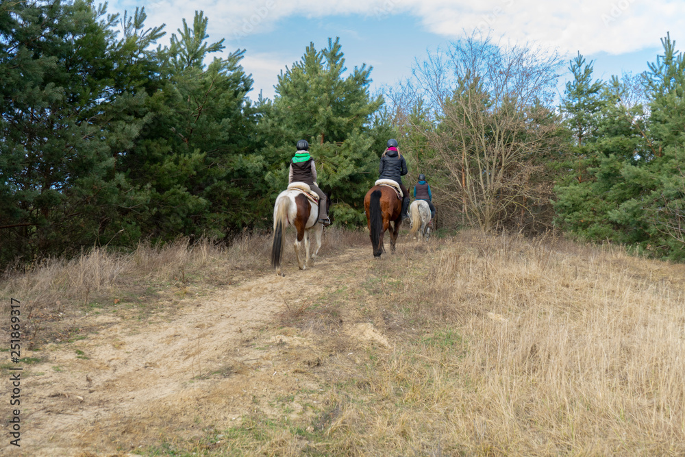 Girl on Horse in narture riding animal western Girl on Horse in narture riding animal western