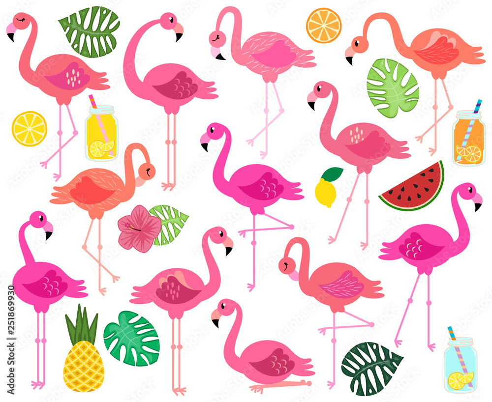 Vector Collection of Flamingos, Tropical Leaves, Fruit and Summery Drinks Vector Collection of Flamingos, Tropical Leaves, Fruit and Summery Drinks