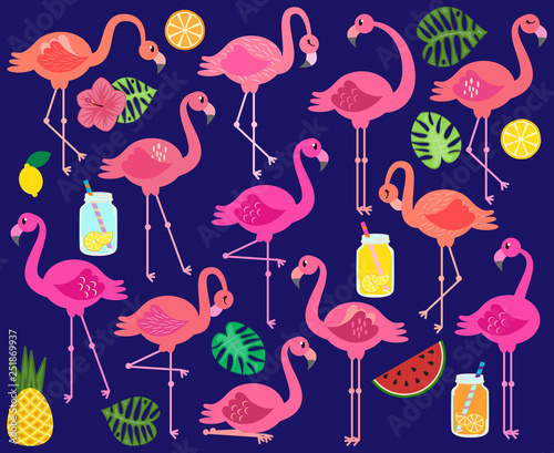 Vector Collection of Flamingos, Tropical Leaves, Fruit and Summery Drinks