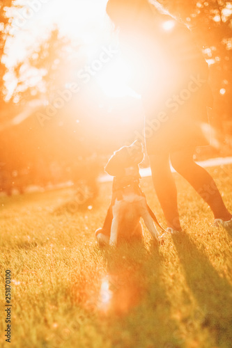 girl with beagle at sunset