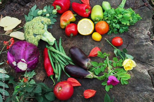 A variety of vegetables on a natural background. Cabbage  eggplants  beans  onions  tomatoes  peppers  parsley with leaves and flowers