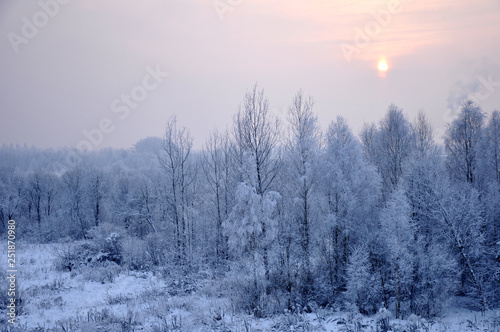 Picturesque landscape of trees, and everything covered by snow in winter season. Evening view of mist and colorful sky during sunset.