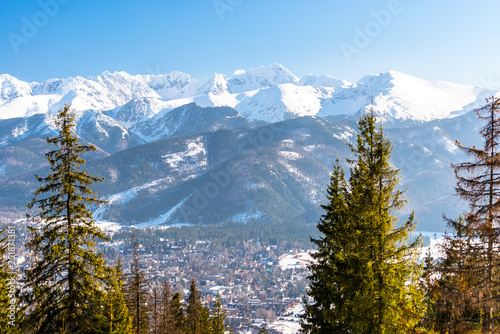 A beautiful view of the city of Zakopane lying at the foot of the Polish Tatra Mountains. Sunny, beautiful day in the winter, snow-capped mountains visible trees and buildings.