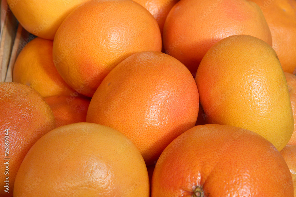 Grapefruit harvest. Grapefruits on the market Grapefruit harvest. Grapefruits on the market