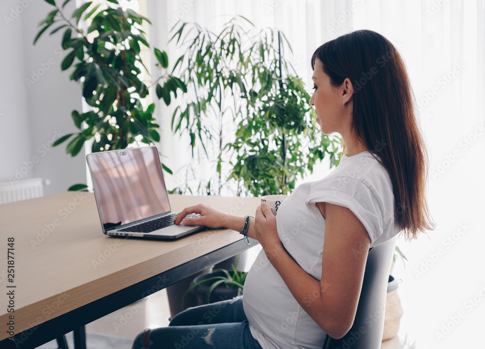 Young pregnant woman is working on laptop at her home Young pregnant woman is working on laptop at her home
