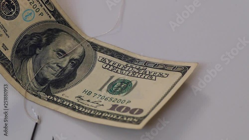 money is a feed to hunt people,
