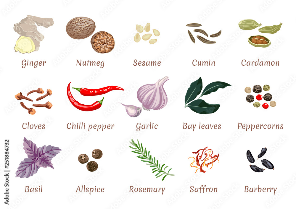 Vector set of spices in flat style. Ginger, Nutmeg, Sesame, Cumin ...