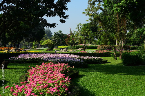 Beautiful garden flowers.Colorful flowers with abstract light and bokeh for background.Spring Formal Garden. Beautiful garden of colorful flowers.