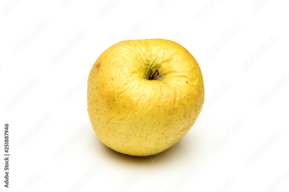 A picture of an ordinary green Golden Delicious apple, without modifications The apple is old, dry an not attractive. It is wrinkled and puckered. A picture of an ordinary green Golden Delicious apple, without modifications The apple is old, dry an not attractive. It is wrinkled and puckered.