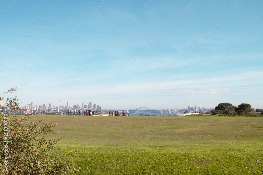 Far skyline of Sydney with a nice green park in front