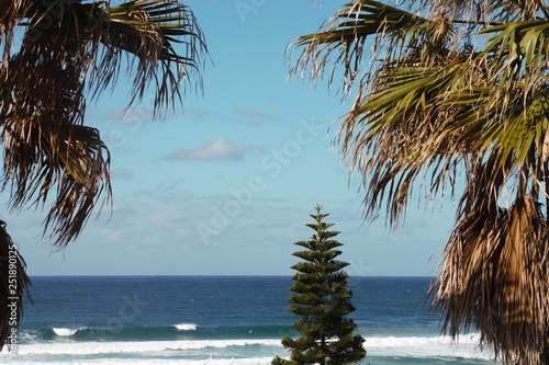 Romantic forest view to the wild Australian ocean  photo