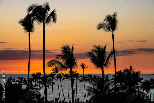 A tropical sunset with orange sky and clouds. The ocean is in the background  and the silhouetttes of palm trees in front. There is a row of chairs and the silhouette of a person looking at the ocean.