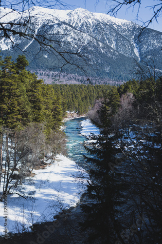 Caucasus, Russia. Winter river in a coniferous forest