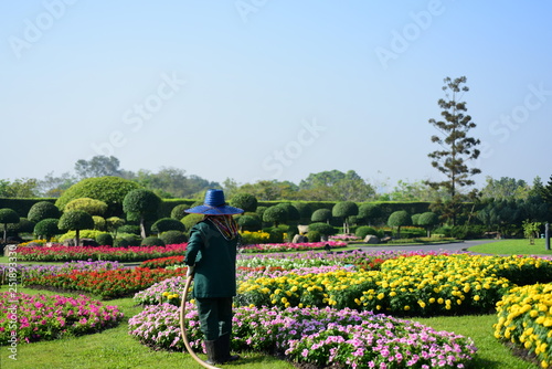 The gardener is watering the flowers at the park at Long 9 Park. Bangkok ThailandThe beautiful flower garden in Bangkok's big city park