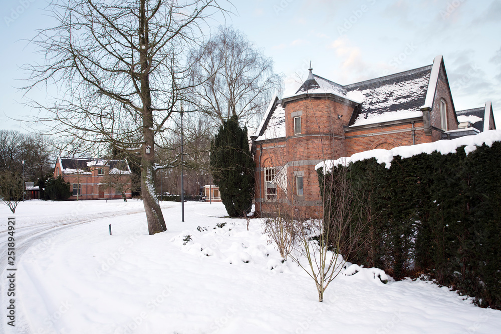 buildings, snow-covered alley and trees with bushes, amsterdam, the netherlands