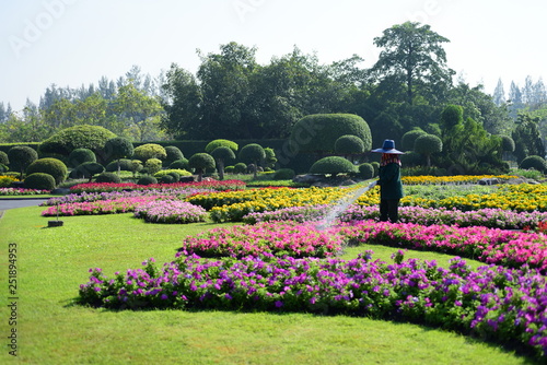 The gardener is watering the flowers at the park at Long 9 Park. Bangkok ThailandThe beautiful flower garden in Bangkok's big city park photo