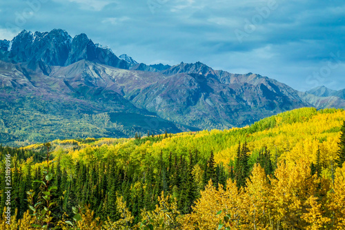 Alaska wilderness