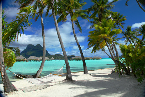 Bora Bora Beach Hammock