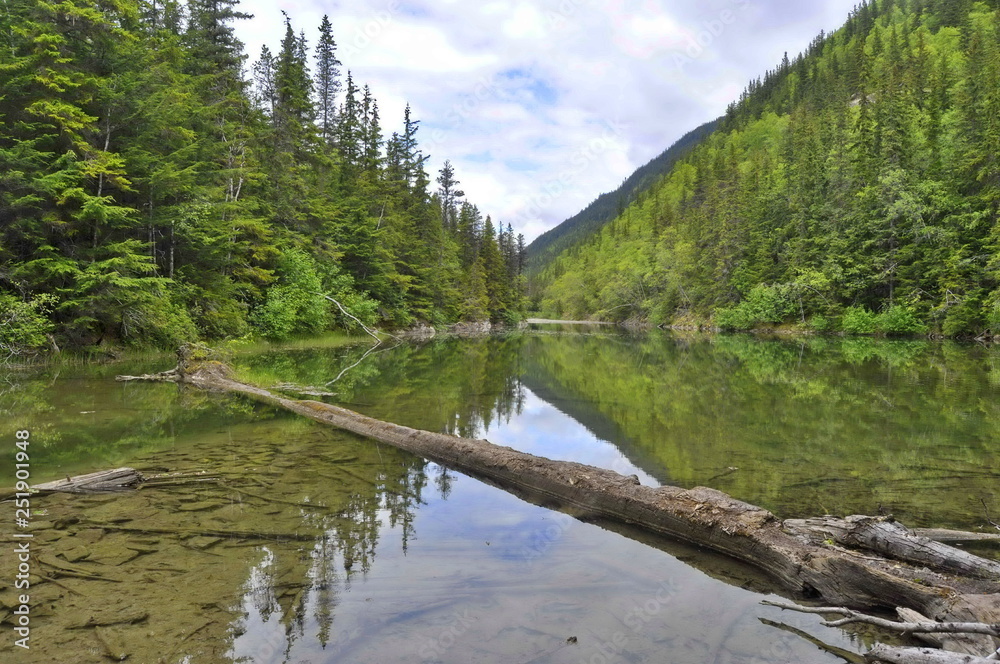 A Lake in Alaskan Rainforest