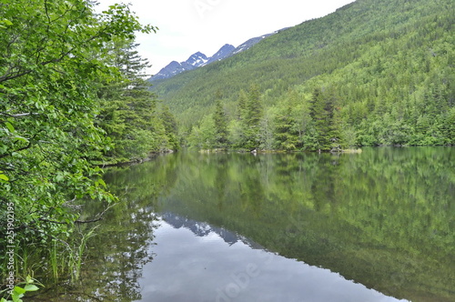 A Lake in Alaskan Rainforest