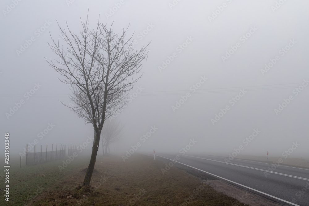 Asphalt road in a big fog. Low visibility on a busy road in Central Europe. Asphalt road in a big fog. Low visibility on a busy road in Central Europe.