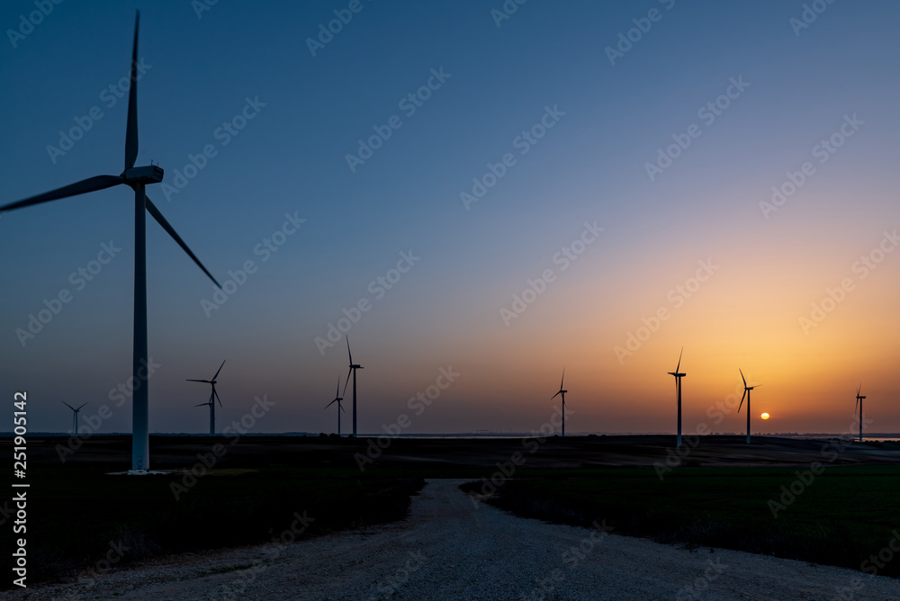 Obraz premium The wind farm