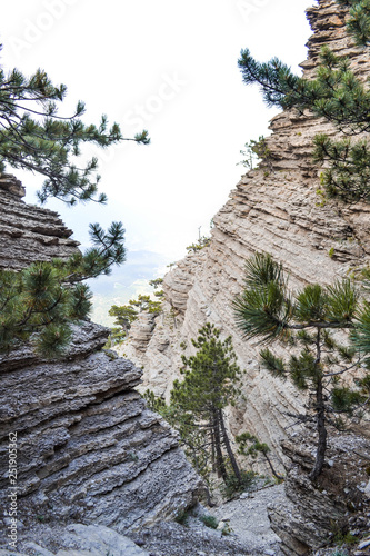 PHOTO of the mountain landscape photo