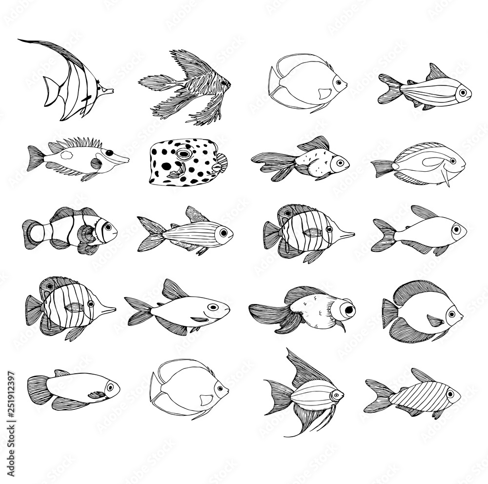 set of fish marine black contour, painted fish for decoration
