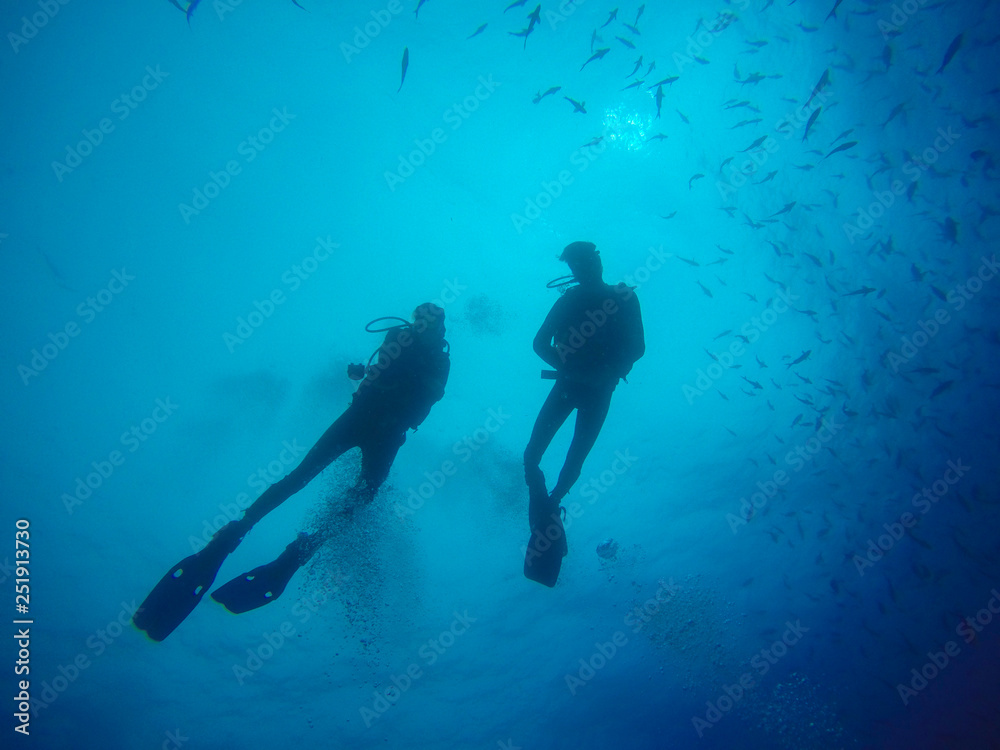scuba diver and shark