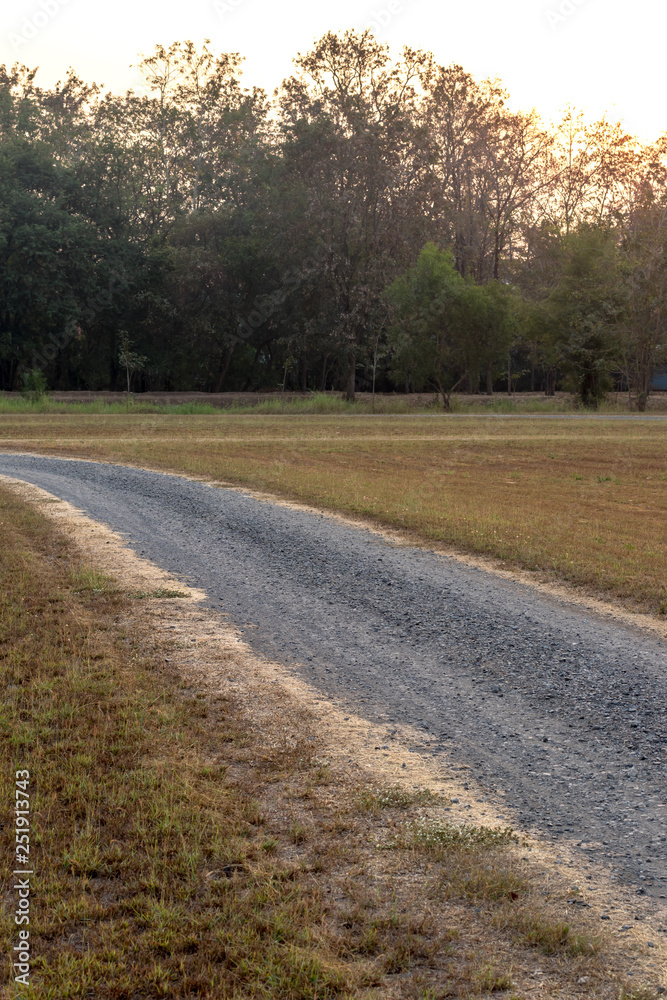 Stone road crushed with dry grass. Stone road crushed with dry grass.