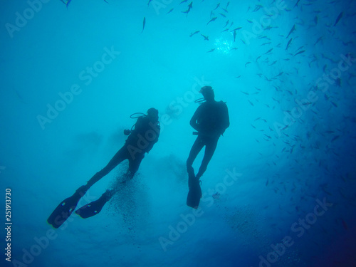 scuba diver and shark © Tomas