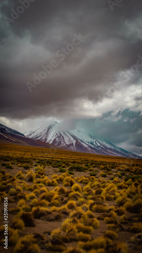 altiplano chileno