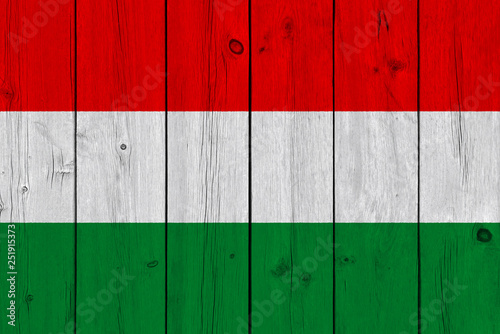 hungary flag painted on old wood plank