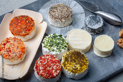 Assortment of French fresh white soft goat cheeses with different tastes topping made with herbs, paprika, indian curry, bruscetta, chives and dried tomatoes