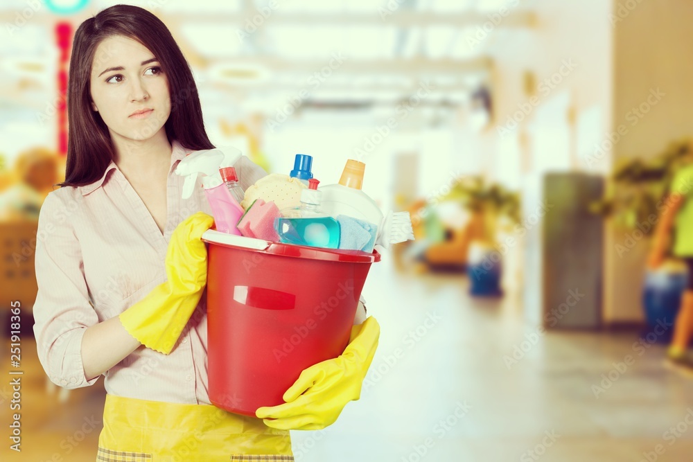 Beautiful Young Woman Housewife with Cleaning products Beautiful Young Woman Housewife with Cleaning products