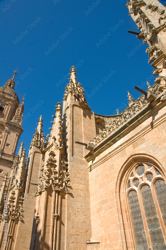 Catedral,Salamanca,Castilla-Leon,Spain
