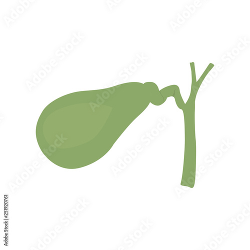 Isolated human gallbladder image. Vector illustration design