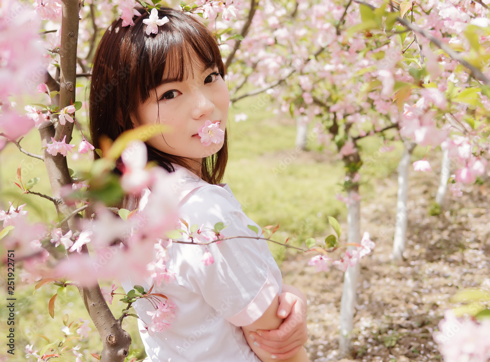 Fototapeta premium Outdoor portrait of beautiful young Chinese girl smiling among blossom cherry tree brunch in spring garden, beauty, summer, emotion, expression and people lifestyle concept.