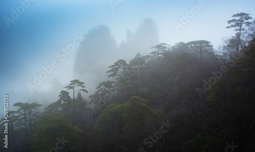 Huangshan mountain mist